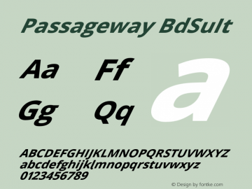 Passageway BdSuIt Version 1.11 Font Sample