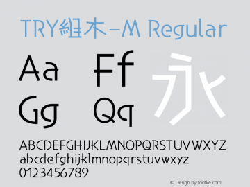 TRY組木-M Regular Version 1.1图片样张