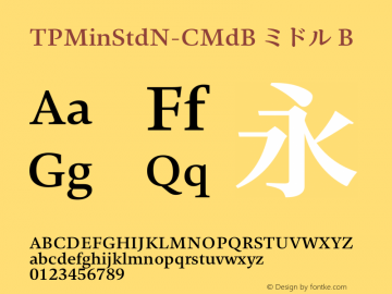 TPMinStdN-CMdB ミドル B Version 1.0; Revision 1; 2014-03-03 05:11:57; TT 1.0图片样张