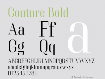 Couture Bold Version 1.000;PS 001.000;hotconv 1.0.70;makeotf.lib2.5.58329;com.myfonts.easy.positype.couture.light.wfkit2.version.4mef图片样张