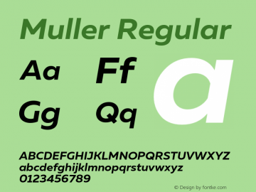 Muller Regular 1.0;com.myfonts.easy.font-fabric.muller.bold-italic.wfkit2.version.4nuh图片样张