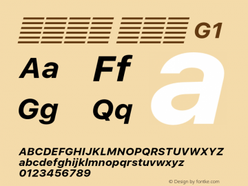 系统字体 粗斜体 G1 11.0d60e1 Font Sample