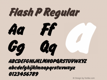 Flash P Regular Version 001.005图片样张