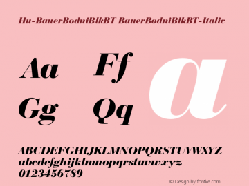 Hu-BauerBodniBlkBT BauerBodniBlkBT-Italic Version 001.000图片样张