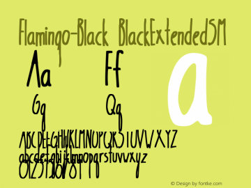Flamingo-Black BlackExtendedSM Version 1.0图片样张