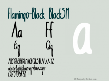 Flamingo-Black BlackSM Version 1.0图片样张