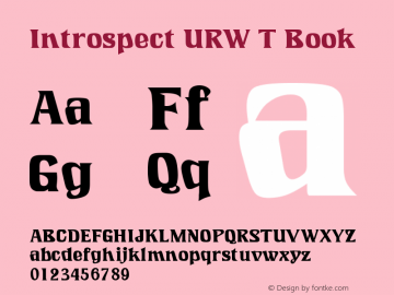 Introspect URW T Book Version 1.05 Font Sample