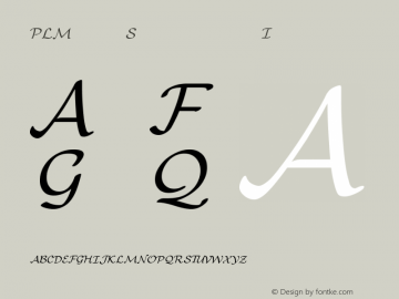 PLMathSymbols9 Italic Version 1.11图片样张