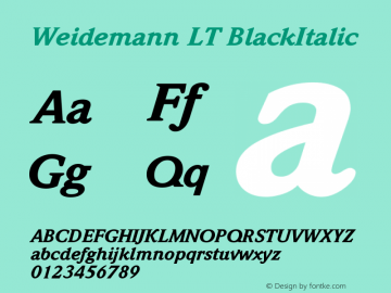 Weidemann LT BlackItalic Version 006.000图片样张