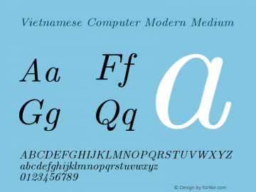 Vietnamese Computer Modern Medium Version 1.00B Font Sample