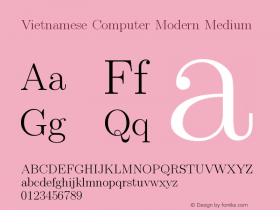 Vietnamese Computer Modern Medium Version 1.0 Font Sample