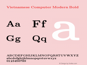 Vietnamese Computer Modern Bold Version 1.0图片样张