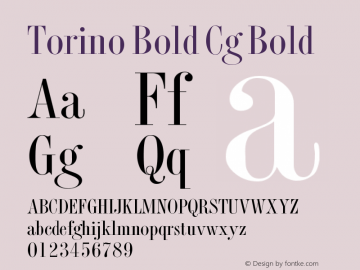 Torino Bold Cg Bold Version 001.001 Font Sample