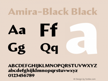 Amira-Black Black Version 001.000图片样张