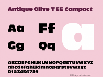 Antique Olive T EE Compact Version 001.005 Font Sample