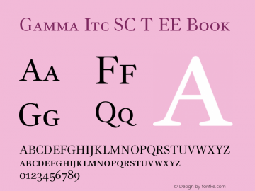 Gamma Itc SC T EE Book Version 001.005图片样张