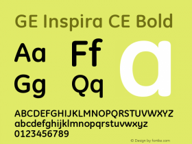 GE Inspira CE Bold Version 001.000图片样张