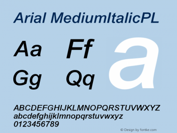 Arial MediumItalicPL Version 001.000 Font Sample