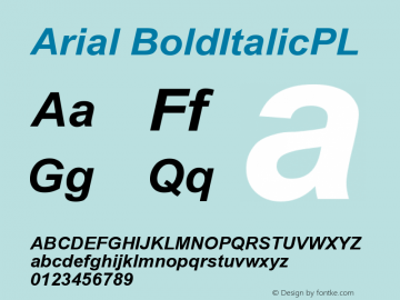 Arial BoldItalicPL Version 001.000 Font Sample