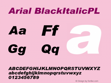 Arial BlackItalicPL Version 001.000 Font Sample