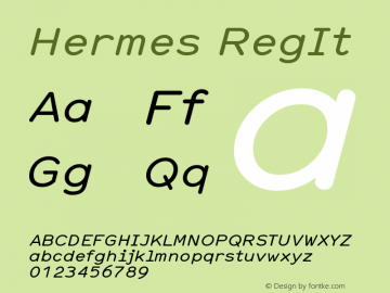 Hermes RegIt Version 001.000图片样张