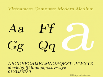 Vietnamese Computer Modern Medium Version 1.0 Font Sample