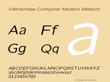Vietnamese Computer Modern Medium Version 1.0 Font Sample