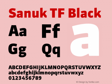 Sanuk TF Black Version 7.046图片样张