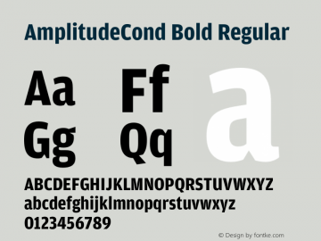 AmplitudeCond Bold Regular Version 1.100;PS 001.001;hotconv 1.0.38 Font Sample