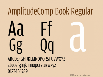 AmplitudeComp Book Regular Version 1.100;PS 001.001;hotconv 1.0.38 Font Sample