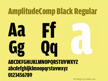 AmplitudeComp Black Regular Version 1.100;PS 001.001;hotconv 1.0.38 Font Sample