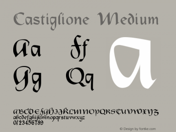 Castiglione Medium Version 001.000 Font Sample