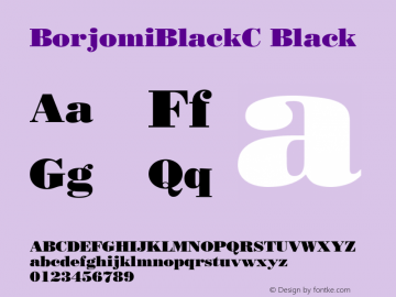 BorjomiBlackC Black Version 001.000图片样张