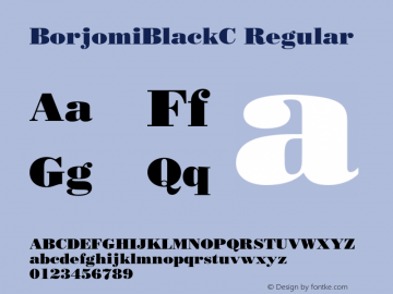 BorjomiBlackC Regular OTF 1.0;PS 001.000;Core 116;AOCW 1.0 161图片样张