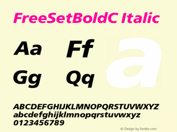 FreeSetBoldC Italic OTF 1.0;PS 001.000;Core 116;AOCW 1.0 161图片样张