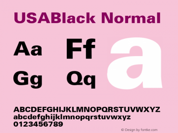 USABlack Normal 1.0 Wed Nov 18 14:08:18 1992图片样张