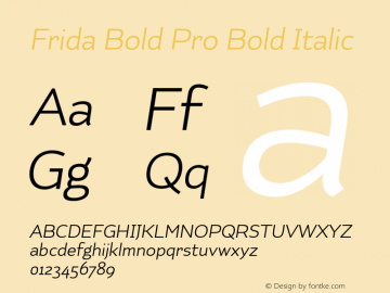 Frida Bold Pro Bold Italic 1.000图片样张