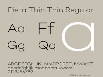 Pieta Thin Thin Regular Version 1.000;PS 001.000;hotconv 1.0.70;makeotf.lib2.5.58329 Font Sample