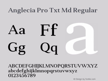 Anglecia Pro Txt Md Regular Version 001.000图片样张