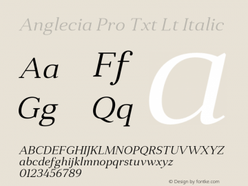 Anglecia Pro Txt Lt Italic Version 001.000 Font Sample