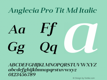 Anglecia Pro Tit Md Italic Version 001.000图片样张