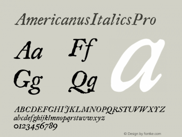 AmericanusItalicsPro ☞ Version 1.000 2006 initial release;com.myfonts.aerotype.americanus.italics-pro.wfkit2.3sWX图片样张
