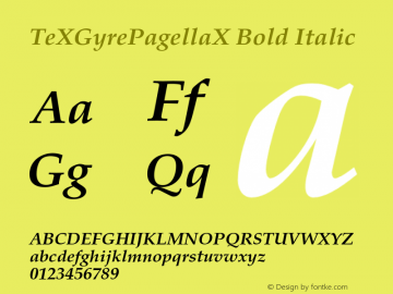 TeXGyrePagellaX Bold Italic Version 2.004;PS 2.004;hotconv 1.0.49;makeotf.lib2.0.14853 Font Sample