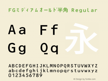 FGミディアムオールド半角 Regular Version 1.00 Font Sample