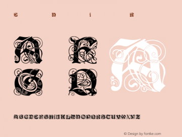 Elegant Nouveau Initials Regular 001.000 Font Sample