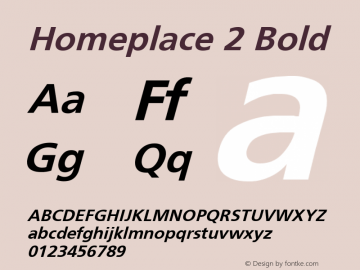 Homeplace 2 Bold 1.0 Thu May 04 12:45:58 1995图片样张