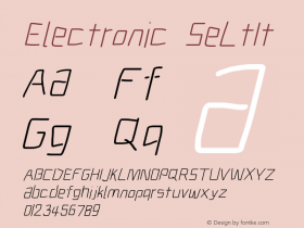 Electronic SeLtIt Version 1.011图片样张