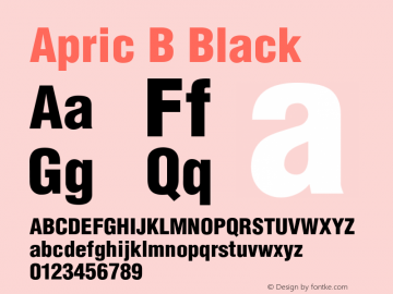 Apric B Black Unknown图片样张