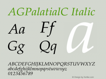AGPalatialC Italic OTF 1.0;PS 1.000;Core 116;AOCW 1.0 161 Font Sample