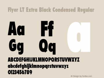 Flyer LT Extra Black Condensed Regular 006.000图片样张